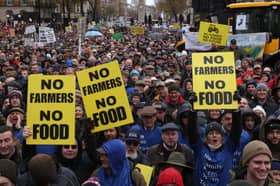 Farmers protest in London against changes to inheritance tax announced in the UK Budget last month (Picture: Dan Kitwood)