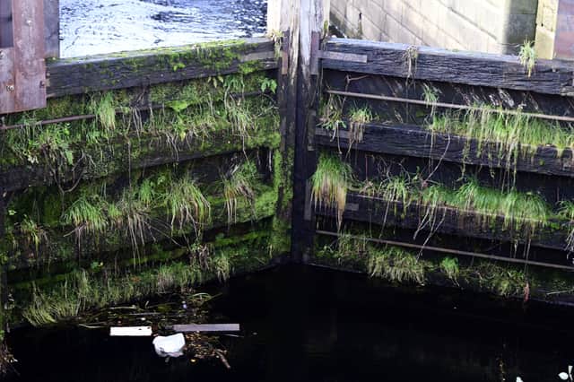 Vegetation has been allowed to grow on the ageing lock gates to help stop water seeping through