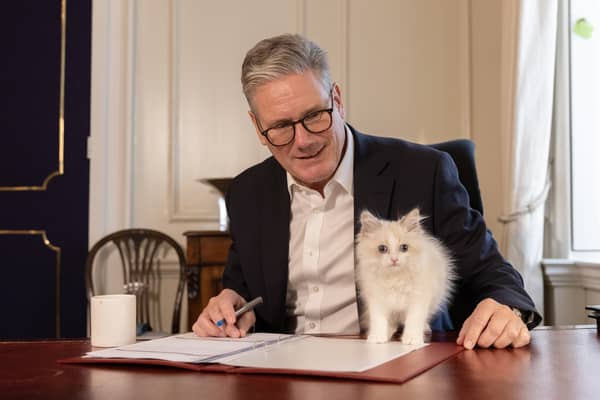 Prime Minister Keir Starmer is joined by his family kitten, Prince, whilst working in his office at 10 Downing Street. Picture: Simon Dawson/No 10 Downing Street