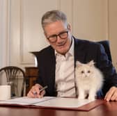 Prime Minister Keir Starmer is joined by his family kitten, Prince, whilst working in his office at 10 Downing Street. Picture: Simon Dawson/No 10 Downing Street