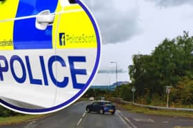Police are searching for witnesses to the hit and run