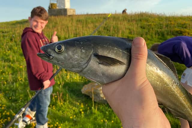 Students catching fish while staying in Swona 
