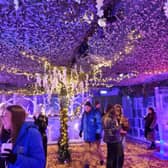The Polar Ice Bar 