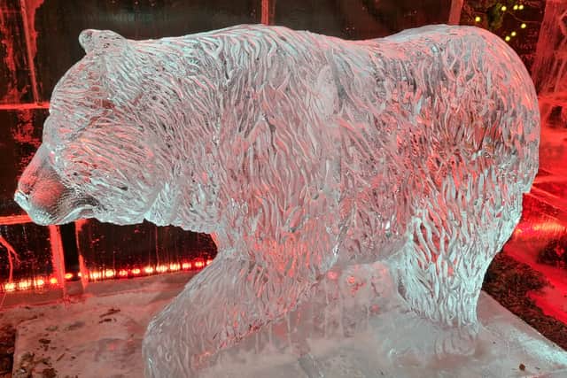 The ice bear