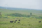 Galloway becoming Scotland's next national park is currently under consultation 