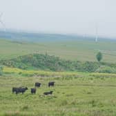 Galloway becoming Scotland's next national park is currently under consultation 