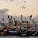 The current Brexit deal is not working for Britain's fishing industry (Picture: Matt Cardy)