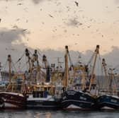 The current Brexit deal is not working for Britain's fishing industry (Picture: Matt Cardy)