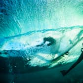 Phoebe Strachan (surfing) and Nienke Duinmeijer in a Protect Our Ocean campaign image for Patagonia  