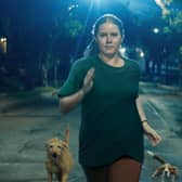 Amy Adams in Nightbitch
