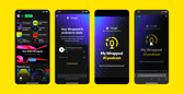 Spotify has introduced a Wrapped AI podcast for 2024. Photo: Spotify