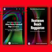 Spotify Wrapped 'music evolution' feature. Photo: Spotify