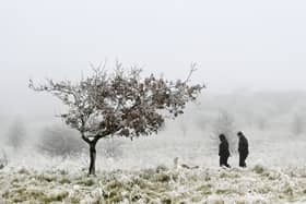 Dog walkers in Cathkin Braes, as freezing fog persists for a second day in Glasgow and the surrounding area. Picture: John Devlin