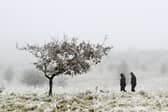 Dog walkers in Cathkin Braes, as freezing fog persists for a second day in Glasgow and the surrounding area. Picture: John Devlin
