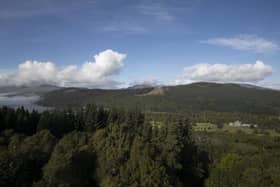 Rewilding has been backed by a number of celebrities.