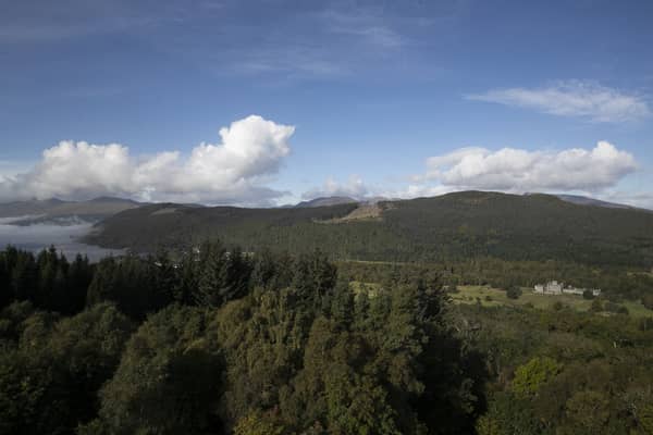 Rewilding has been backed by a number of celebrities.