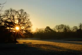 When the sun does make an appearance at this time of year it tends to be low in the sky.