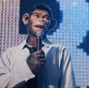 Robbie Williams as a chimpanzee in 'Better Man'.