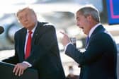 Nigel Farage is an ally of Donald Trump despite the US President-elect's 'America First' policy (Picture: Brendan Smialowski)