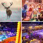 There's plenty to do in Scotland between Christmas and New Year.