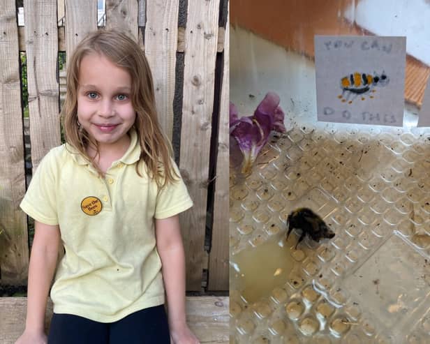 Willow McMurray with a picture of a bee, honey and self-made motivational posters with her efforts to bring the little creature to life viewed 1.3m times.  Photo credit should read: Anouska Curzon/PA Wire 
