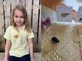 Willow McMurray with a picture of a bee, honey and self-made motivational posters with her efforts to bring the little creature to life viewed 1.3m times.  Photo credit should read: Anouska Curzon/PA Wire 