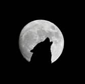 The first full moon of the year is called the Wolf Moon.