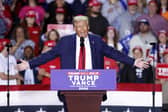President-elect Donald Trump speaks during a campaign rally in Michigan in November