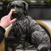 The loyalty displayed by 19th-century dog Greyfriars Bobby has inspired generations of people for more than 150 years (Picture: Jeff J Mitchell)