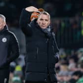 Celtic manager Brendan Rodgers during the 2-0 win over Dundee United. (Photo by Craig Williamson / SNS Group)
