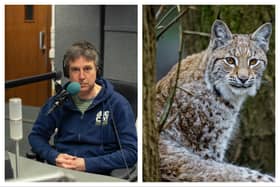 Rick Minter, host of Big Cat Conversations podcast 