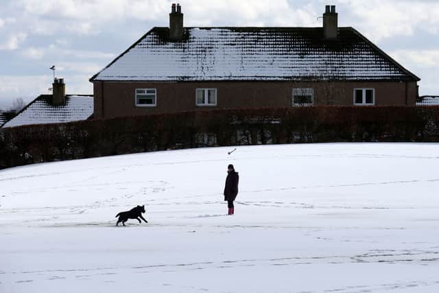 A man walks a dog in the snow in Carluke, in South Lanarkshire
