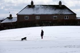 A man walks a dog in the snow in Carluke, in South Lanarkshire