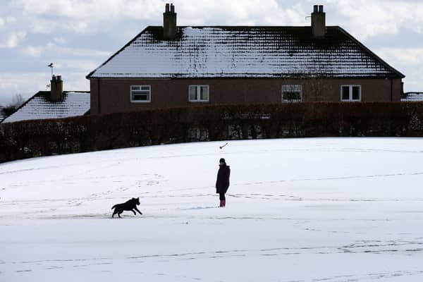 A man walks a dog in the snow in Carluke, in South Lanarkshire