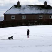 A man walks a dog in the snow in Carluke, in South Lanarkshire