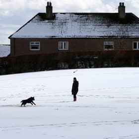 A man walks a dog in the snow in Carluke, in South Lanarkshire
