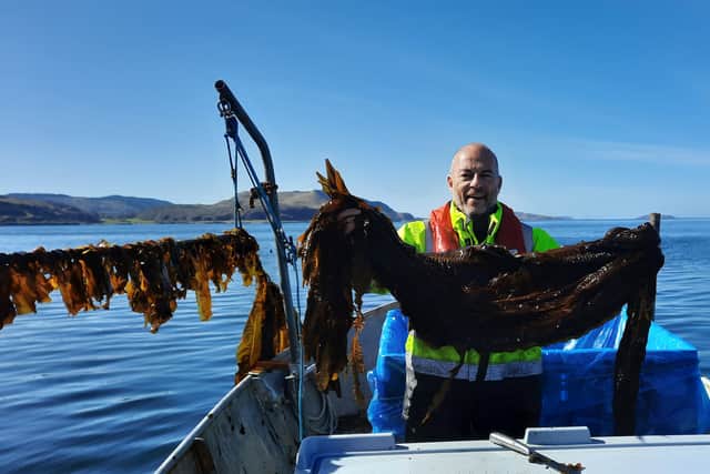 Lawrie Stove, Seaweed Farming Scotland