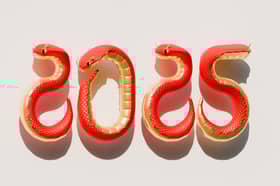 Welcome to 2025 - the Year of the Snake.