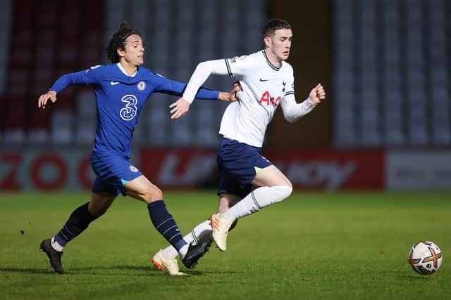 Alfie Dorrington of Tottenham Hotspur has joined Aberdeen on loan.