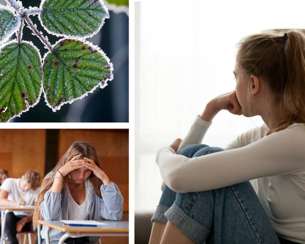 This time of year can be a lot for students 