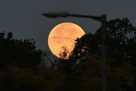 A Harvest moon setting under a lamp post