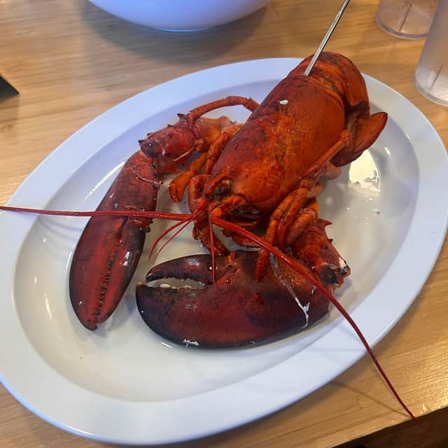 A plateful of Hall's Harbour lobster