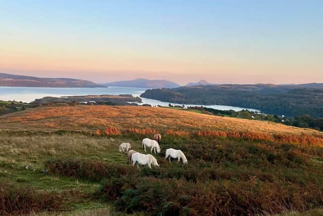 Some of the views at The Fauld on Mull