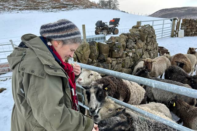 Karen Elwis with her Shetland sheep