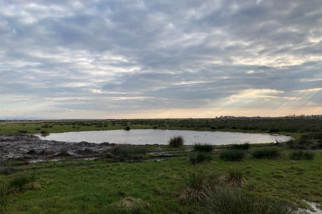 The project, funded by NatureScot’s Nature Restoration Fund, is reverting much of the site to its natural state of wetland and saltmarsh after decades of previous attempts to go against this by installing drainage networks, the team said