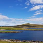 Noss island is a nature reserve and is part of the Shetland Isles archipelago 