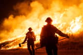 Firefighters work to contain a wildfire in Castaic, Los Angeles County, on Wednesday (Picture: Brandon Bell)