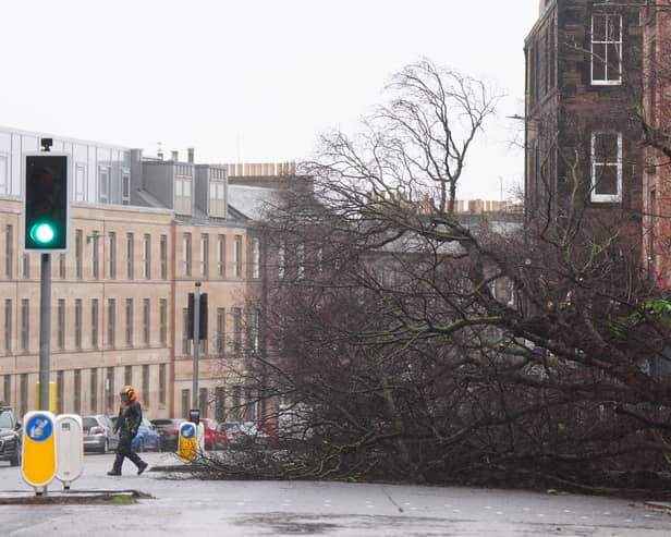 Workers remove a fallen tree on Regent Road, Edinburgh, as power cuts strike across Scotland