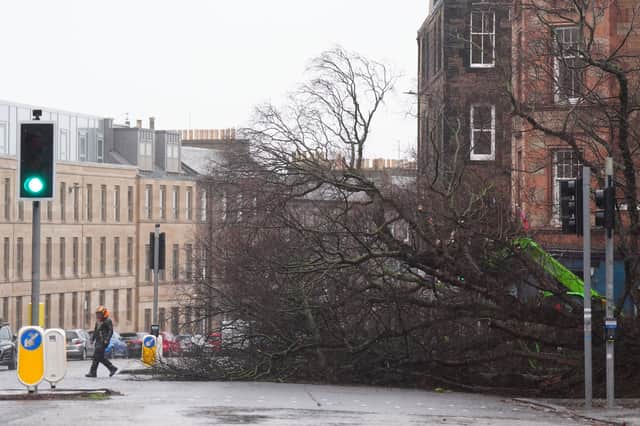 Workers remove a fallen tree on Regent Road, Edinburgh, as power cuts strike across Scotland