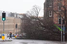 Workers remove a fallen tree on Regent Road, Edinburgh, as power cuts strike across Scotland